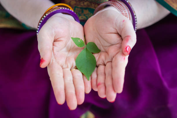 Bel Patra Tree Benefits: बेल पत्र का पेड़ लगाने के 5 फायदे, ये बातें जानकर चौंक जाएंगे आप 2 Istockphoto 1522551515 612X612 1