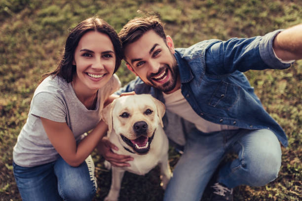 Personality Test: जानिए कैसी होती है डॉग लवर्स की पर्सनैलिटी 2 Istockphoto 942616438 612X612 1