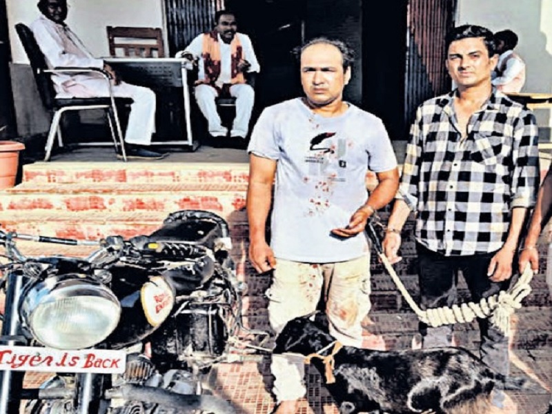 सावन के बाद बिहार में बढ़ा बकरा चोर गिरोह का आतंक, महंगे सूट-बूट पहनकर बुलेट पर खस्सी लेकर भागते धराए 1 हीररहरह