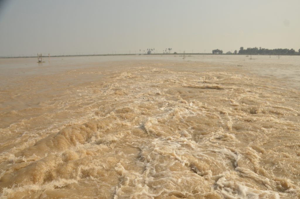 Photos: भागलपुर में सड़क पर चल रही नाव, Nh-80 भी डूबा, गंगा की तबाही देखिए... 8 20Bha 111 20092024 6