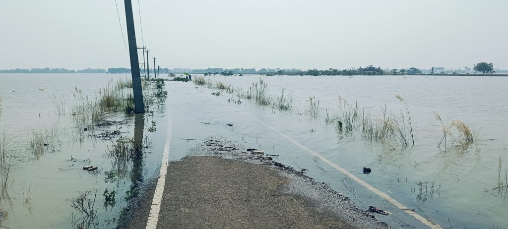 Bihar Flood: भागलपुर में बाढ़ से तबाही की तस्वीरें, सड़क पर बह रही गंगा, शहर में चल रही नाव... 16 21Bha Mb 4 21092024 6