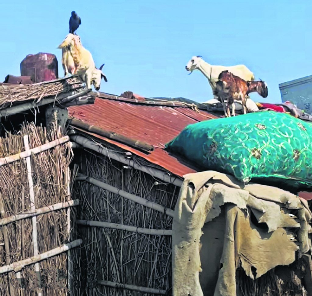 Photos: सुपौल में कोसी से तबाही की 20 तस्वीरें देखिए, सुबह होते ही मचा कोहराम, घर छोड़कर भागे लोग 19 29Sau 12 29092024 64 C641Bha103040479