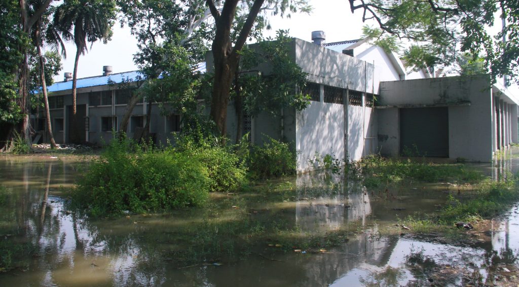 Ganga Flood: गंगा किनारे के कई जिलों में फिर आई बाढ़, 51 स्कूल बंद, कई गांवों का सड़क संपर्क भंग 2 9 इंजीनिरिंग काँलेज हाँस्टल के आसपास पानी ही पानी