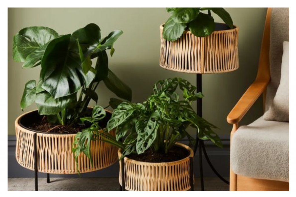 Bamboo Home Decor Ideas: इको-फ्रेंडली बांस की सजावट से अपने घर की खूबसूरती को बढ़ाएं, ये सजावटी सामान आपके घर को देंगे एस्थेटिक लुक 6 Bamboo Home Decor