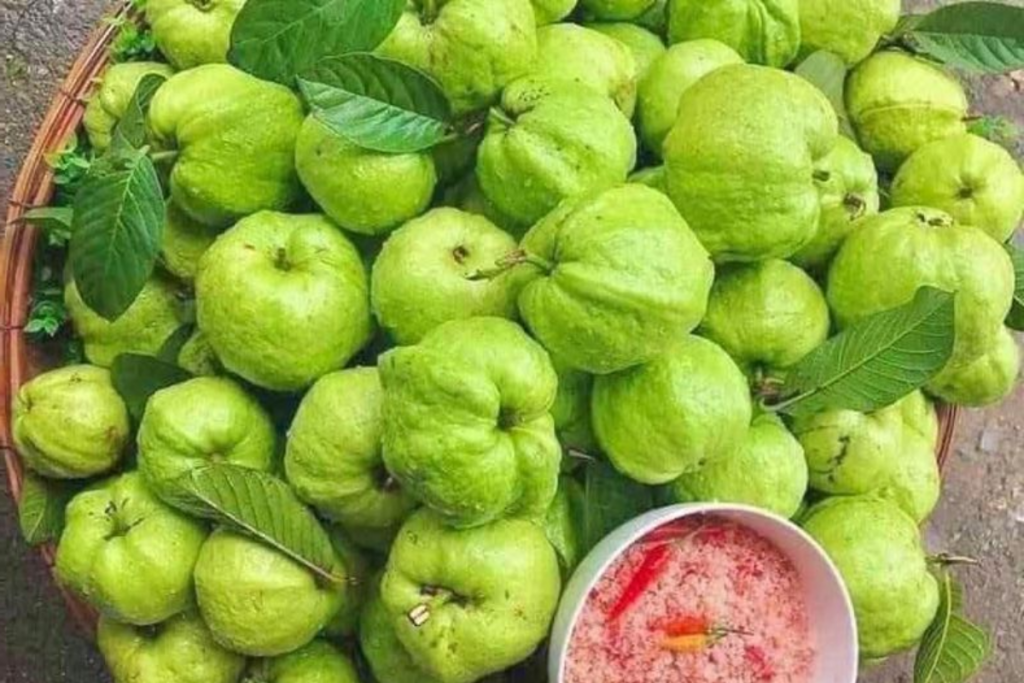 Vrat Special Guava Chutney Recipe: व्रत वाली खिचड़ी के साथ सर्व करें ये कच्चे अमरूद की चटनीं, स्वाद के दीवाने हो उठेंगे आप 4 Guava Chutney Recipe 1