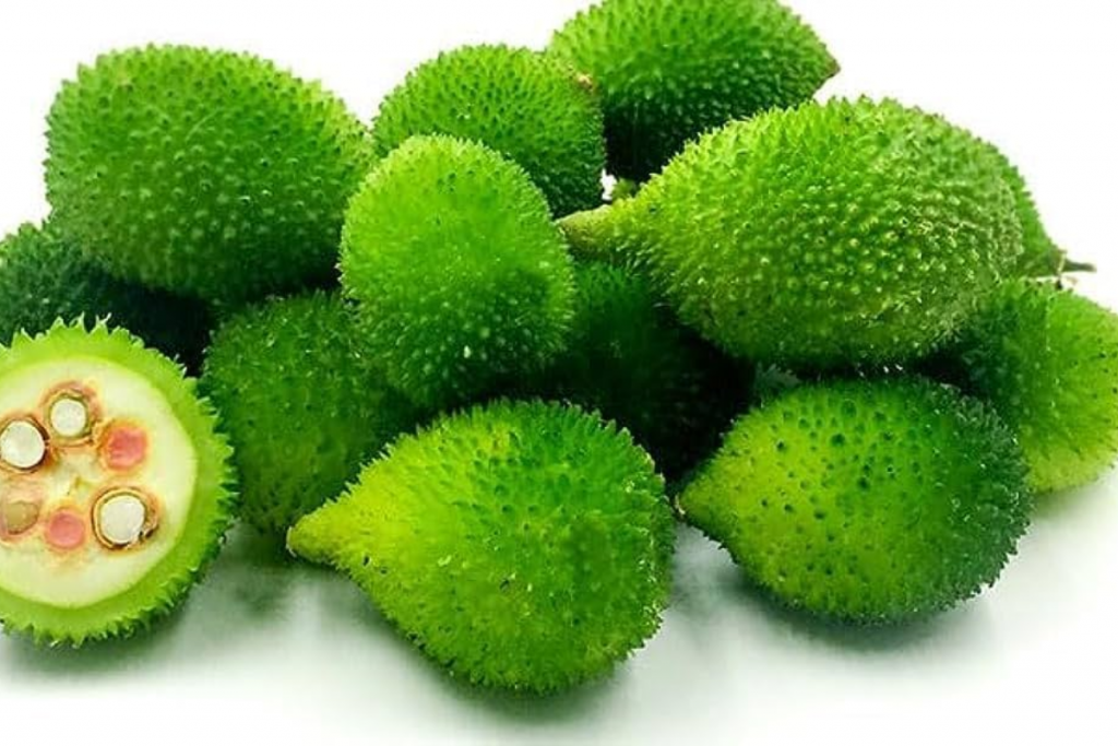 Health Benefits Of Kokoda Vegetable: पौष्टिक होती है ककोड़ा की सब्जी जीवन में एक बार जरूर चखें स्वाद, वजन घटाने में भी सहायक 1 Kakoda