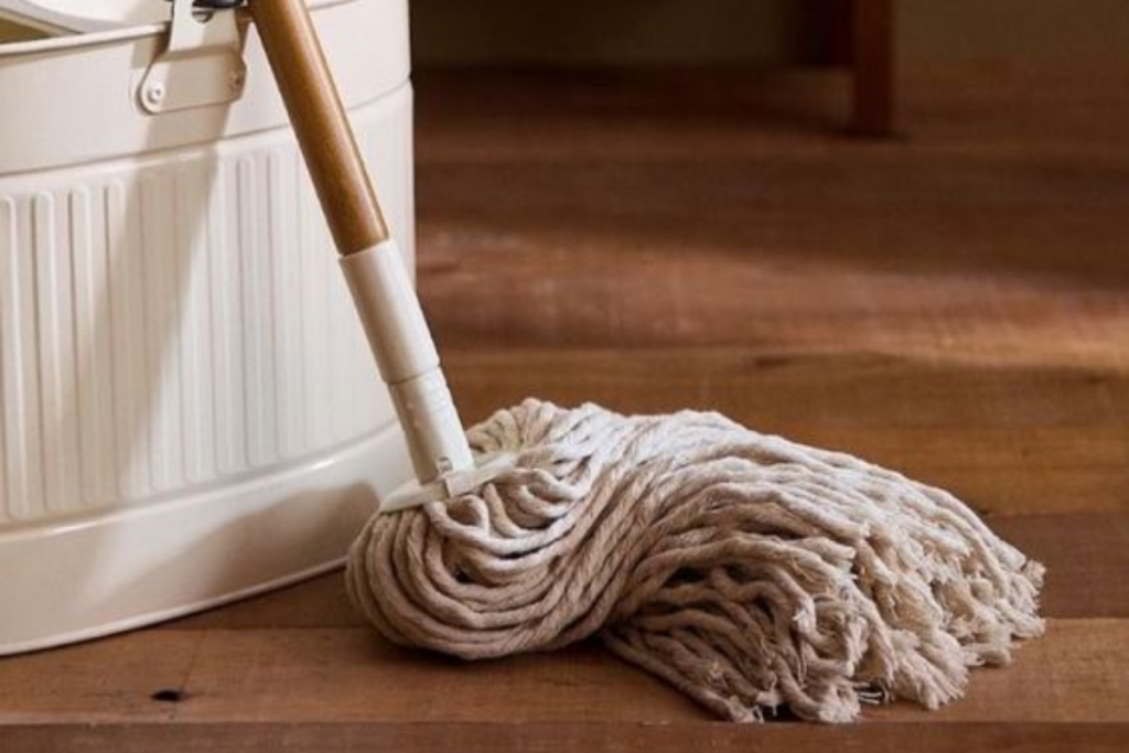 Mop Care During Monsoon: बारिश के दिनों में पोछे को सुखाने में करनी पड़ रही है मेहनत तो ये उपाय अपनाएं 1 Mop 1