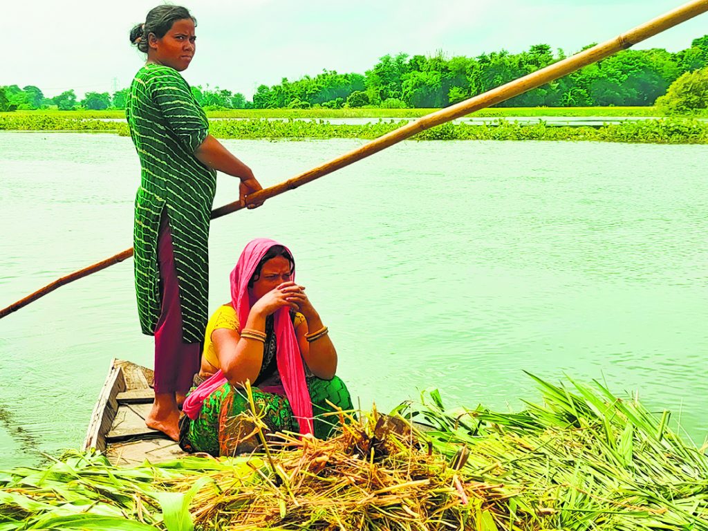 Photos: सहरसा-सुपौल को कोसी ने फिर उजाड़ा, 20 तस्वीरों में देखें लाखों बेघर लोगों की कैसे कट रही जिंदगी... 17 03Sah 34 03102024 63 C631Bha100737348 1