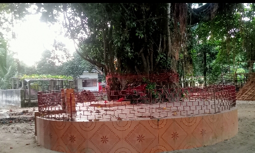 जब दुल्हन के खोईछा में आयी थीं मां काली, बिहार में बरगद के इस पेड़ और मंदिर का जानिए इतिहास... 2 23Pur 25 23102024 70 C701Bha114862312