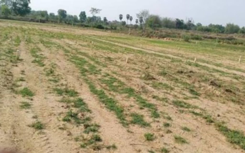 Bihar Land Survey: दाखिल-खारिज के मामले इस वजह से अटक रहे, सरकार ने पेंडिंग केस निपटाने के लिए ढूंढा नया तरीका 1 Bhumi Adhigrahan Bihar