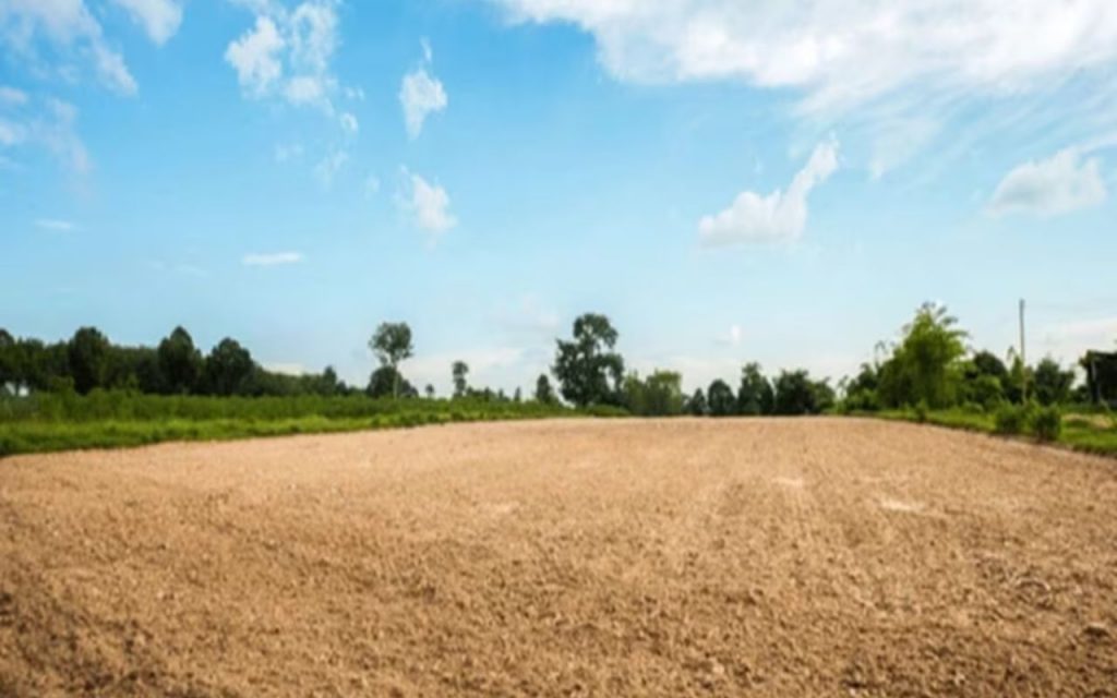 Bihar Land Survey: जमीन सर्वे के बीच आया बड़ा अपडेट, इन जमीनों पर सरकार की नजर 2 Land Sold