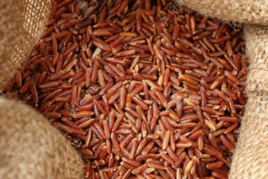 Sama Rice Benefits: नवरात्रि में खाये जाते है समा के चावल आप भी जानें लाभ 2 Sama Rice 1