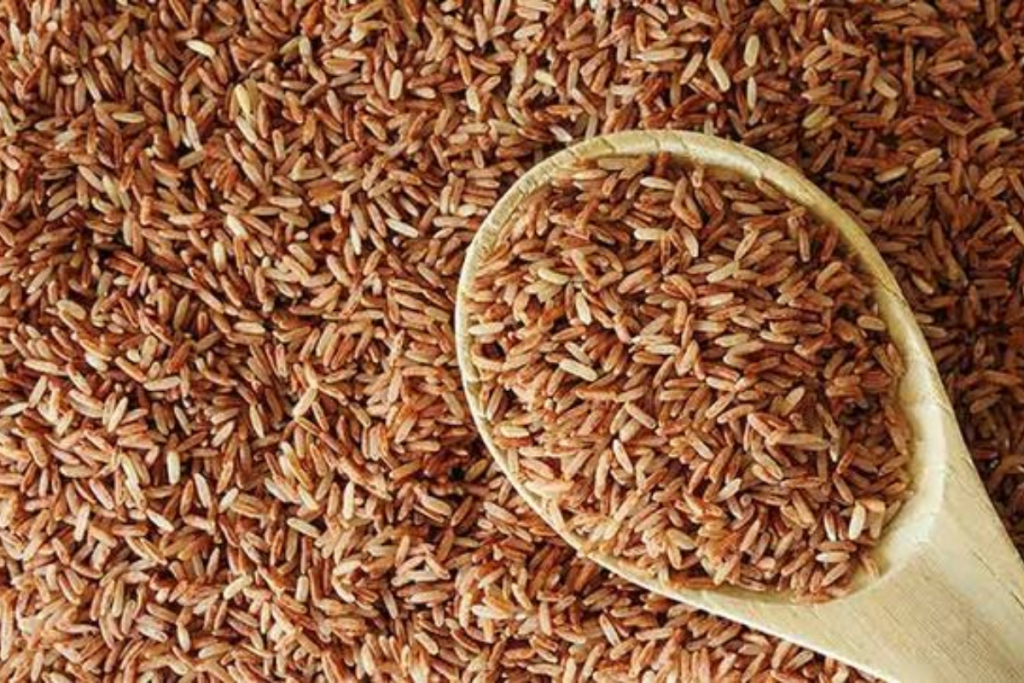 Sama Rice Benefits: नवरात्रि में खाये जाते है समा के चावल आप भी जानें लाभ 1 Sama Rice 2