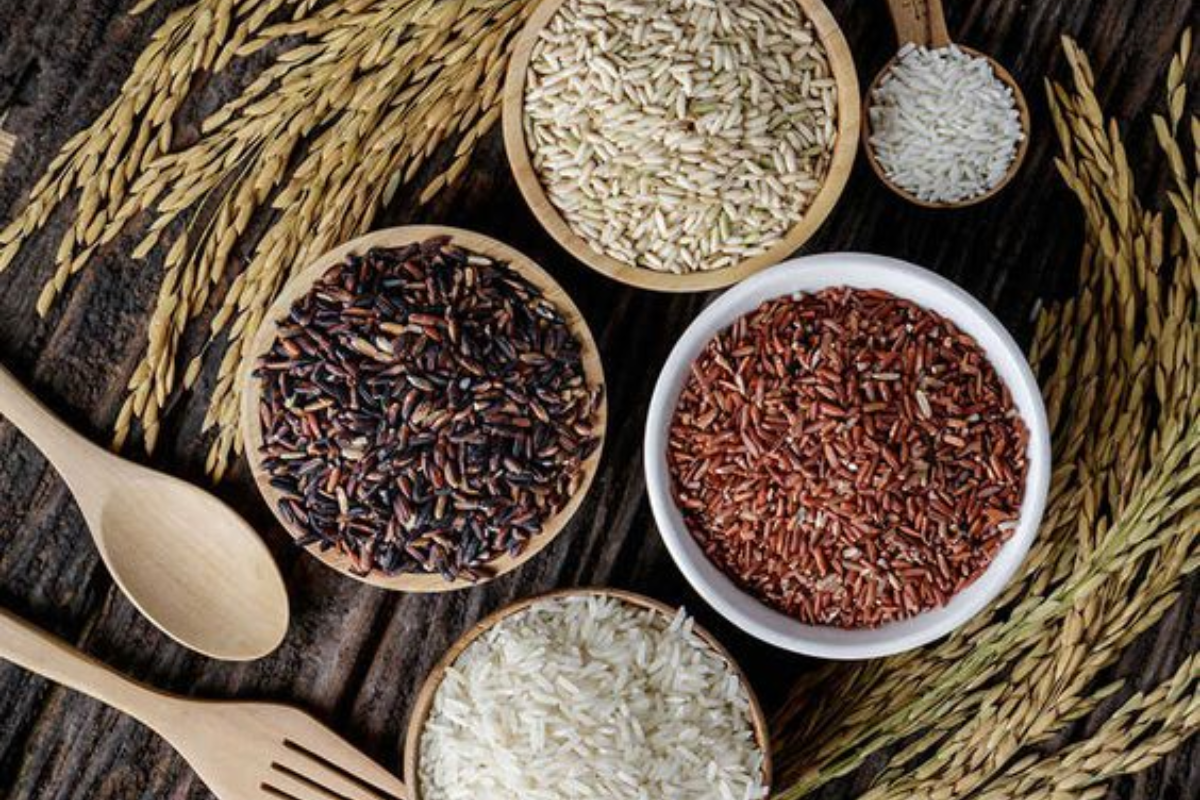 Sama Rice Benefits: नवरात्रि में खाये जाते है समा के चावल आप भी जानें लाभ
