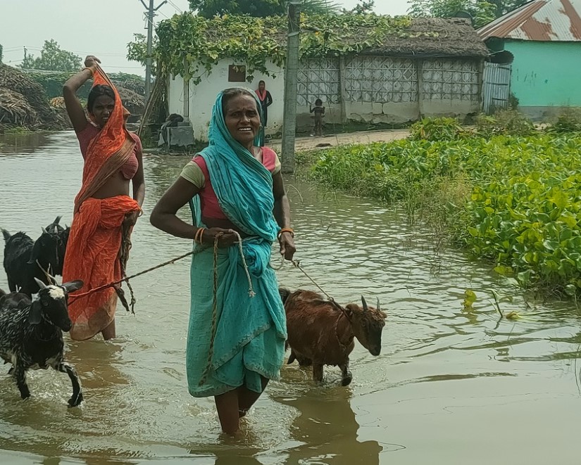 Photos: सहरसा-सुपौल को कोसी ने फिर उजाड़ा, 20 तस्वीरों में देखें लाखों बेघर लोगों की कैसे कट रही जिंदगी... 15 Screenshot 2024 10 04 102452