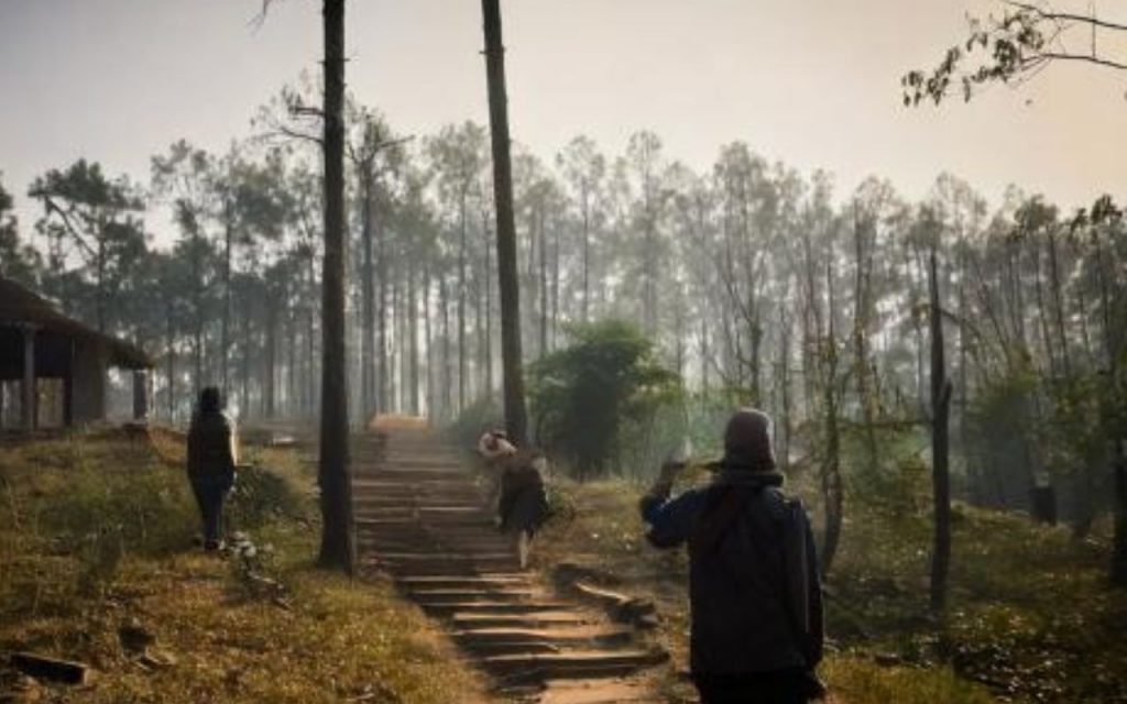 सावधान! मेन रोड पर चहलकदमी करते दिखा रॉयल बंगाल टाइगर, दहशत में लोग 1 Fear