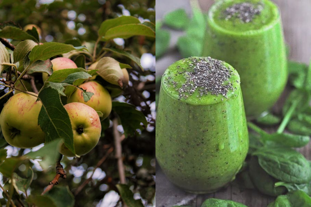 Green Apple Juice: सेहत के लिए वरदान है ये जूस नोट करें इसकी आसान रेसिपी 2 Green Apple 1
