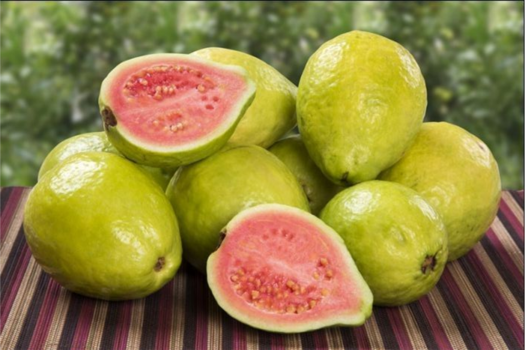 Guava Chat Salad Recipe For Winter: सर्दियों में जरूर आनंद ले अमरूद चाट सलाद का स्वाद 3 Recipe: ताजगी और सेहत से भरपूर होता है अमरूद का जूस