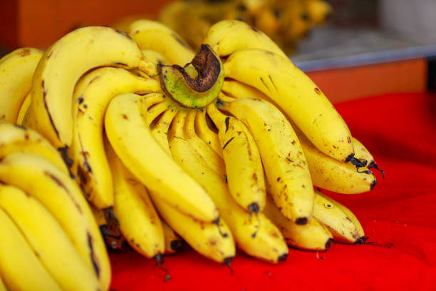 Chhath Puja Fruits: छठ पूजा में रखें जाते ये 5 फल, आप भी जानिए 2 Chhath Puja: Banana