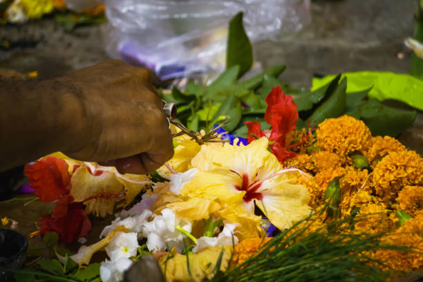 Gudahal Ke Phool Ke Upaay: नवरात्रि में इस दिन करें गुड़हल के फूल से चमत्कारी उपाय 3 Istockphoto 1431883567 612X612 1