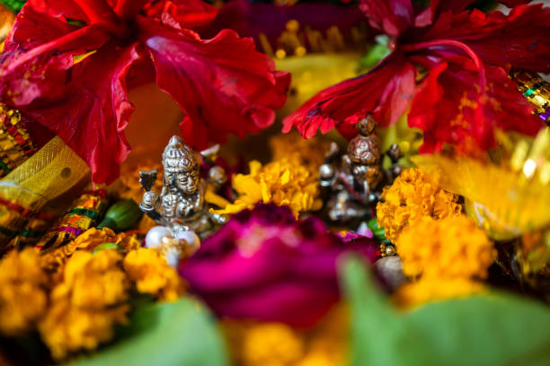 Gudahal Ke Phool Ke Upaay: नवरात्रि में इस दिन करें गुड़हल के फूल से चमत्कारी उपाय 2 Istockphoto 2152127296 612X612 1