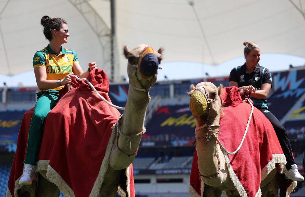 Women'S T20 World Cup: 14 साल बाद न्यूजीलैंड फाइनल में, फाइनल की जंग में प्रोटीज से मुकाबला 3 Nz Vs Wi