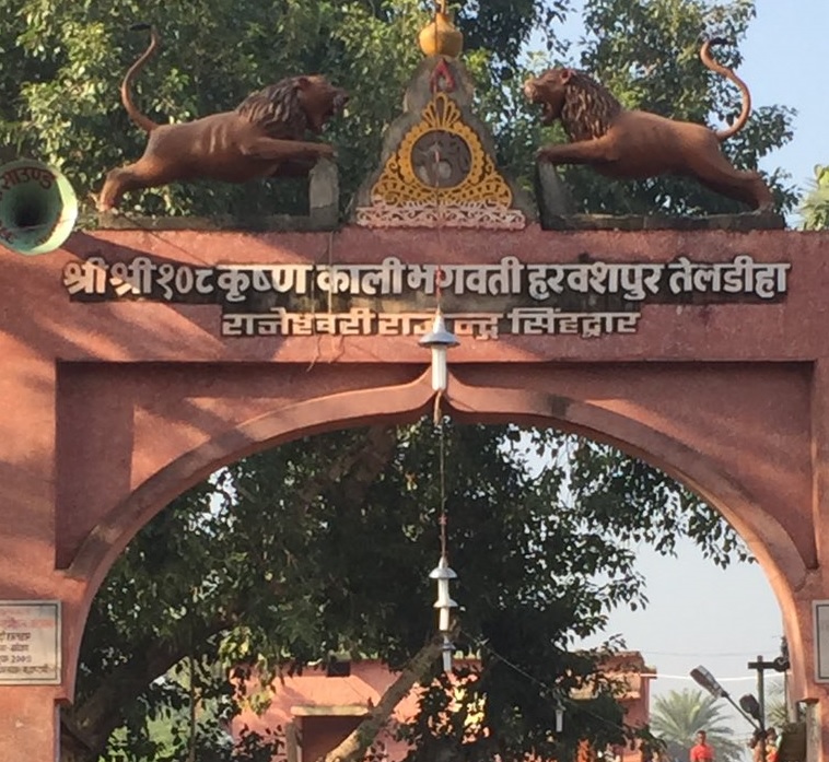 Durga Puja: कहते हैं बिहार के इस मंदिर में साक्षात विराजती हैं भगवती, पहली पूजा से ही लाखों श्रद्धालु पहुंच रहे... 1 हकिीरर