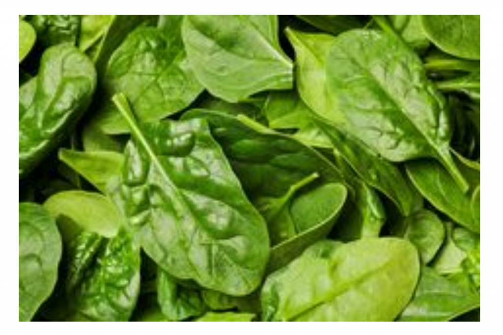 Winter Vegetables To Stay Healthy: सर्दी में अगर आप भी रहना चाहते हैं बीमारियों से दूर तो जरूर खाएं ये 5 सब्जियां 1 Spinach