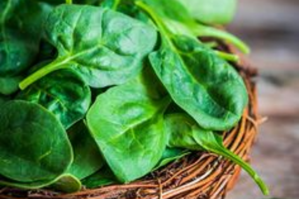 How To Keep Spinach Fresh For A Week: अगर एक ही दिन में गल जाती है पालक तो अपनाएं ये ट्रिक, हफ्ते भर रहेंगी ताजी 1 Tips To Grow Spinach And Fenugreek 2 1