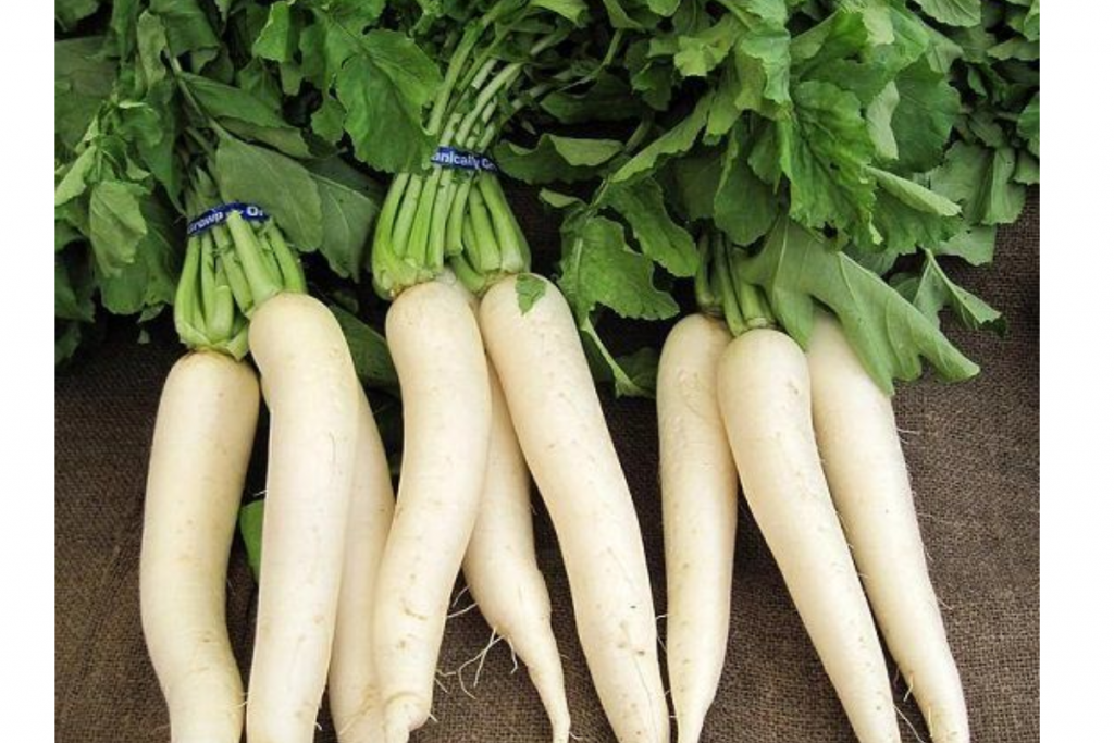 Winter Vegetables To Stay Healthy: सर्दी में अगर आप भी रहना चाहते हैं बीमारियों से दूर तो जरूर खाएं ये 5 सब्जियां 3 Vegetable 1 1