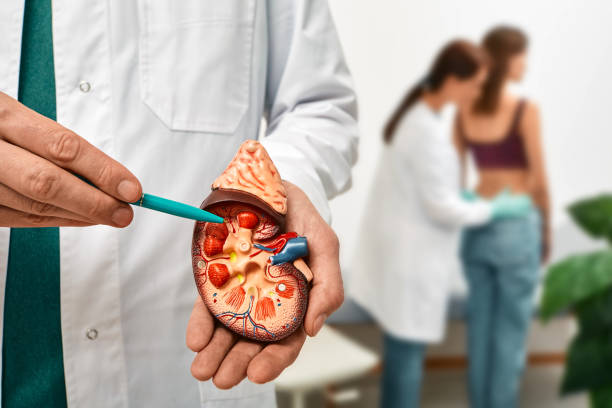 Health Tips: पथरी गलाता है पत्थरचट्टा का पत्ता, इस्तेमाल करने का जानें सही तरीका 2 Istockphoto 1359120337 612X612 1