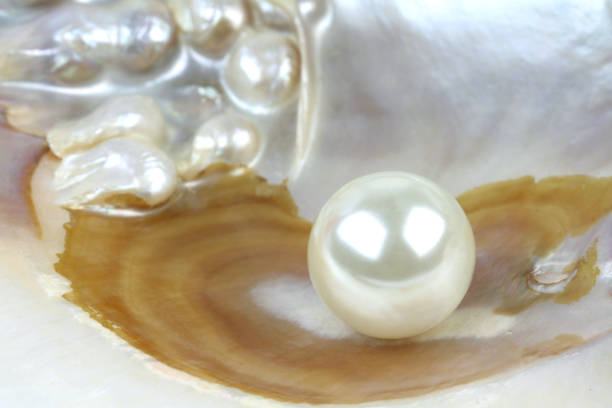 Pearl: कैसे करें असली और नकली मोती की पहचान, ये है आसान तरीका 1 Istockphoto 847227766 612X612 1