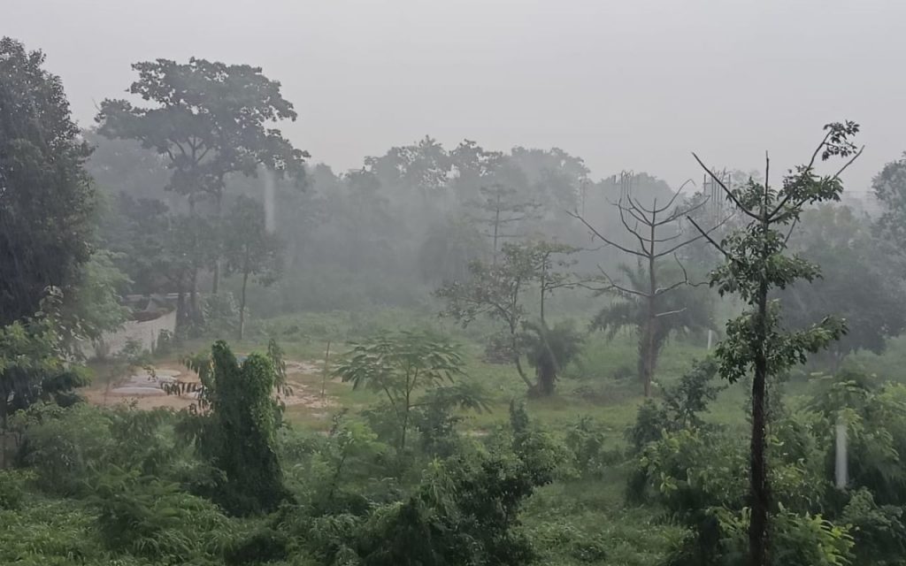 Bihar Weather: 23 नवंबर तक 13 डिग्री पहुंच जायेगा पारा, मौसम में होगा बड़ा बदलाव 1 Bihar Weather News