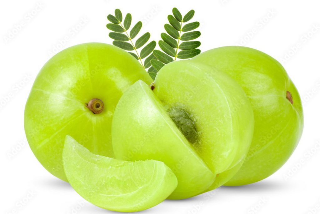 Health Benefits Of Amla : कच्चा चबाएं या जूस बना लें, आदत डाल लें तो आपको मिलेंगे कई फायदे 6 Amala 11111