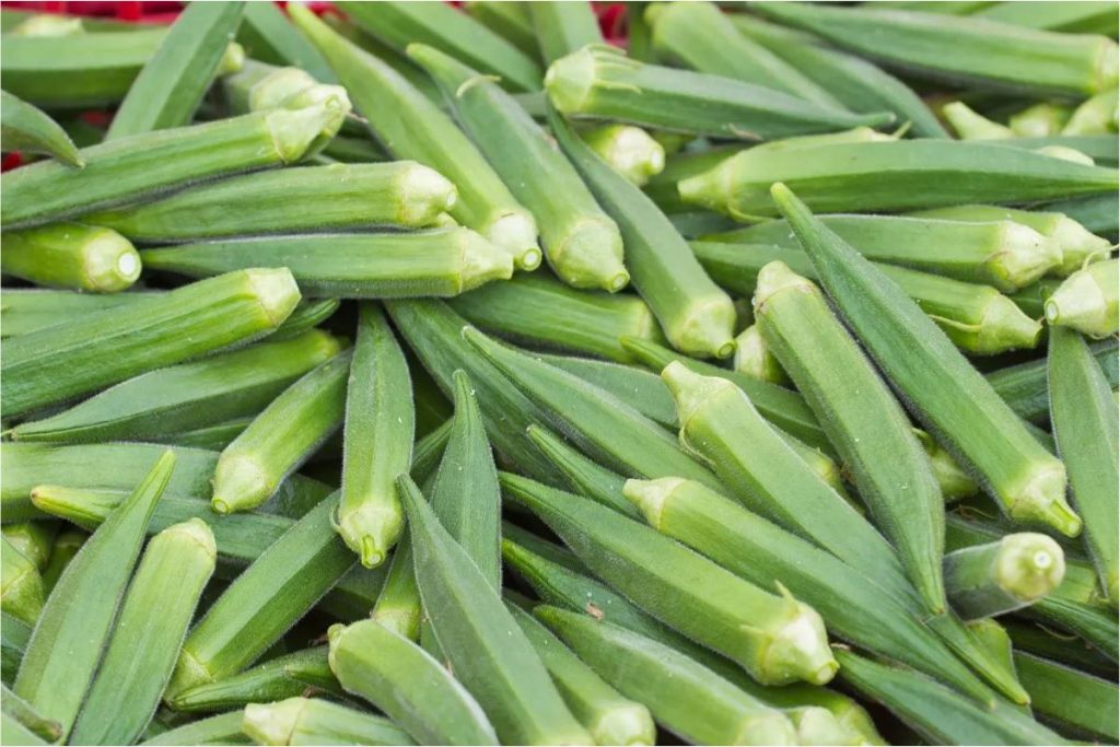Health Tips : बैड कोलेस्ट्रॉल को कंट्रोल करने के लिए खाएं ये सुपरफूड सब्जियां 5 Bhindi