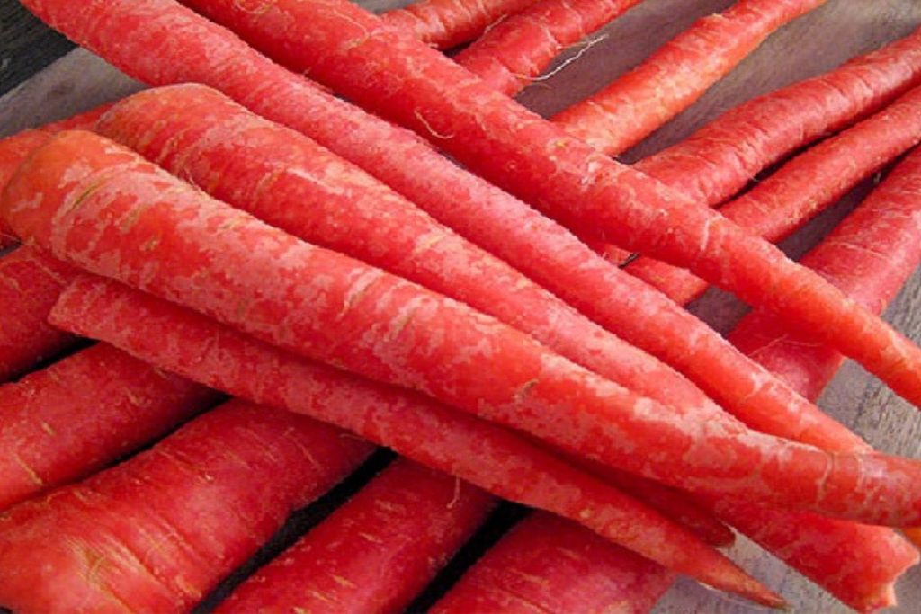 Health Tips : बैड कोलेस्ट्रॉल को कंट्रोल करने के लिए खाएं ये सुपरफूड सब्जियां 4 Carrot
