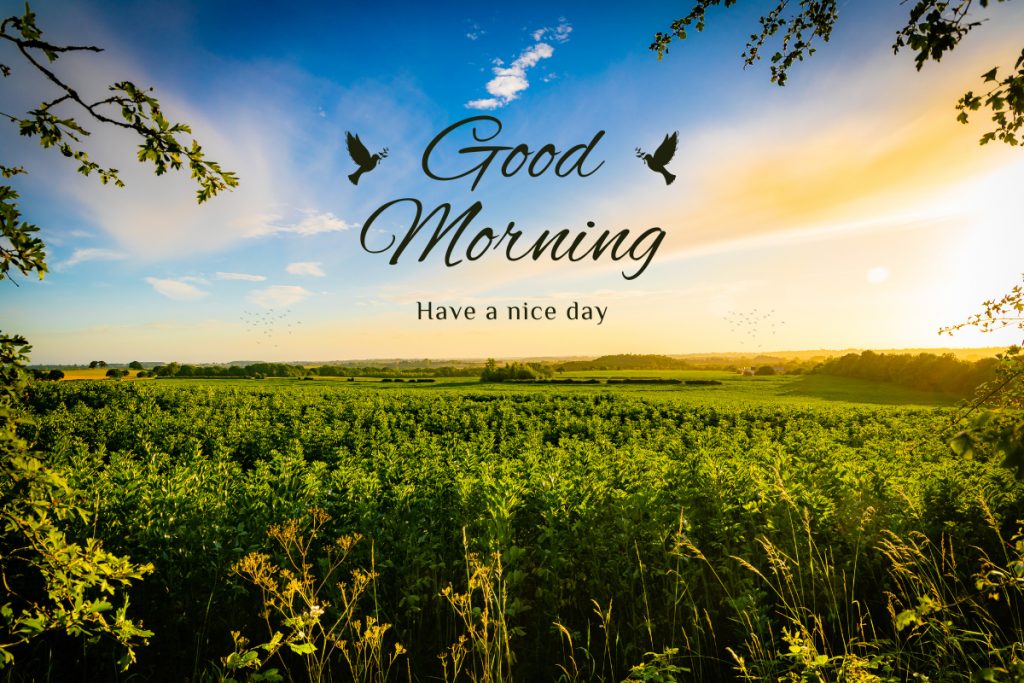 Good Morning Images With Caption: सुप्रभात- एक नई शुरुआत के साथ जिएं जीवन 4 Good Morning Images 5