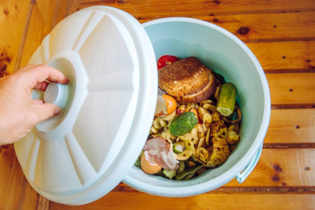 Vastu Tips: एक झटके में हो जाएंगे गरीब, भूलकर भी अपने किचन में न रखें ये चीजें 1 Dustbin 1 1