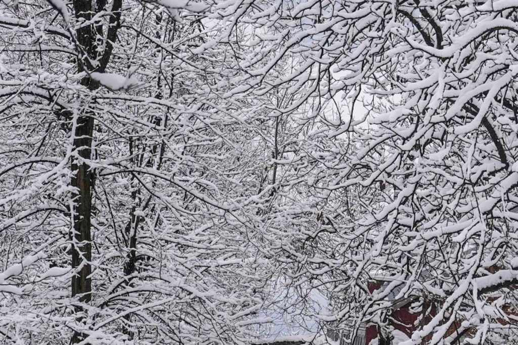 Weather Updates: पहाड़ों में बर्फबारी से मैदानों में कड़ाके की ठंड, बारिश से बढ़ सकती है परेशानी, जानें मौसम का हाल 2 Weather Updates