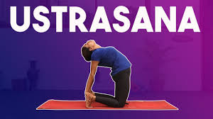 Yoga Tips For Flexible Body: इन 5 आसनो की मदद से पा सकते है फ्लेक्जिबल बॉडी, आप भी करें ट्राई 6 Klon