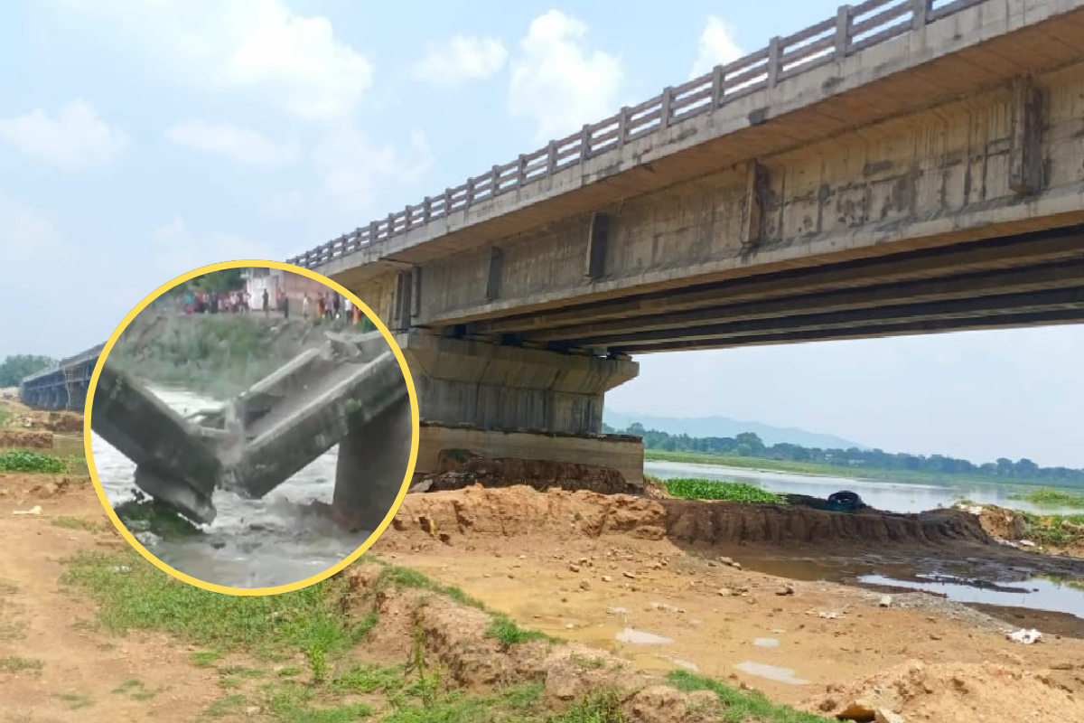 bihar bridges IIT students audit report