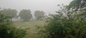 Seraikela Kharsawan News : रोहिणी पर्व के साथ शुरू हुई छींटा विधि से धान की खेती