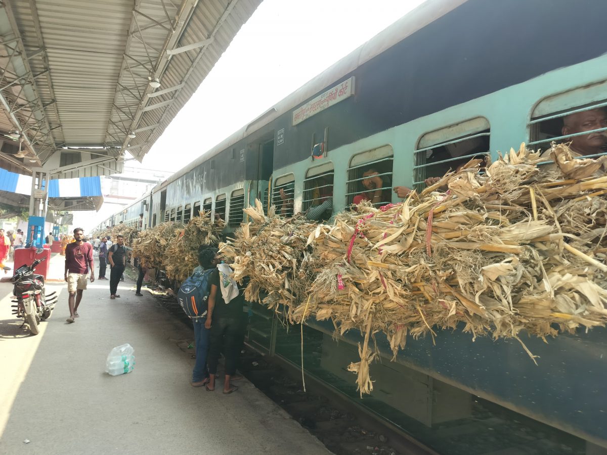 Photos: बिहार में इस ट्रेन पर रहता है ठठेरे का कब्जा, दृश्य देखकर रह जाएंगे हैरान... 5 Whatsapp Image 2025 06 11 At 8.44.59 Am